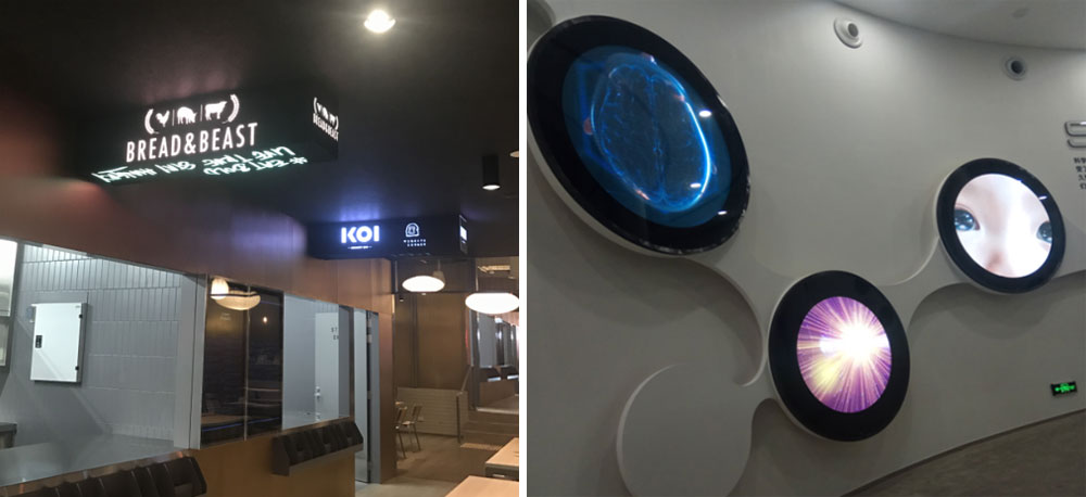 1555470589582978.jpg 43.jpg