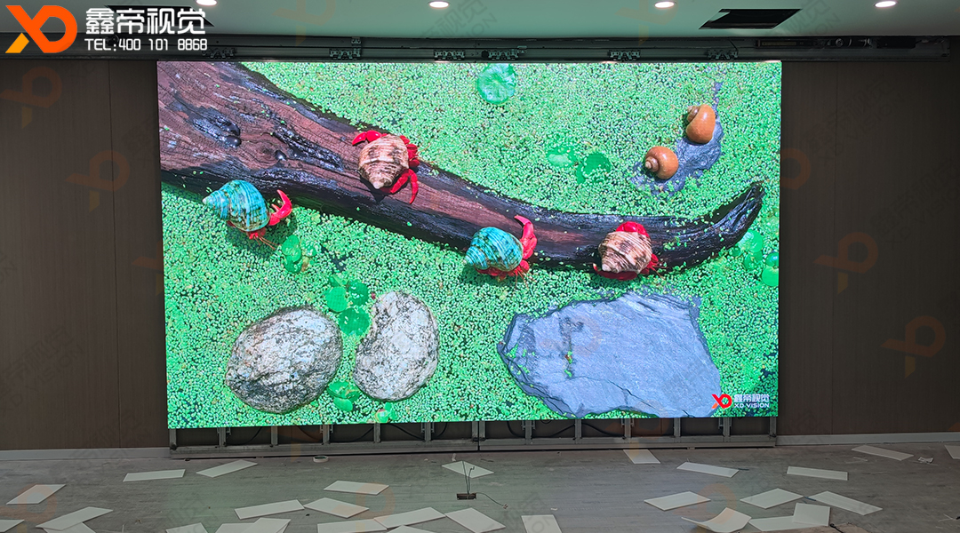 1639186841294539.jpg 2.jpg